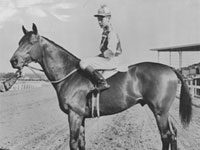 seabiscuit