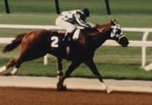 secretariat screenshot