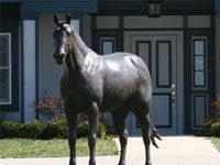 Secretariat sets Preakness Stakes record 39 years after running the race secretariat statue