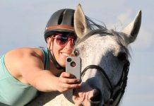 selfie horse