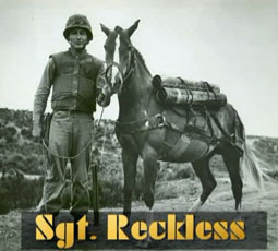 sgt reckless