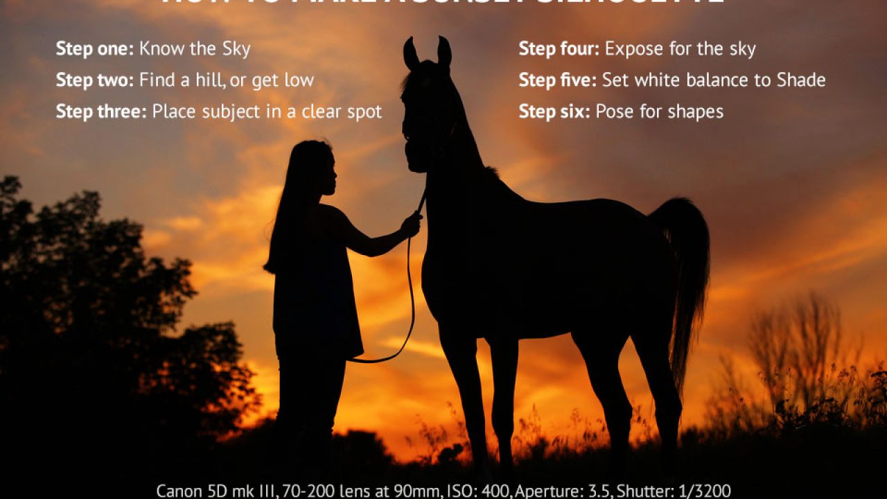 Sunset Silhouette Photos with Equine Photographer Shelley Paulson - Horse  Illustrated, image size:1280x720