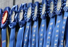 show ribbons