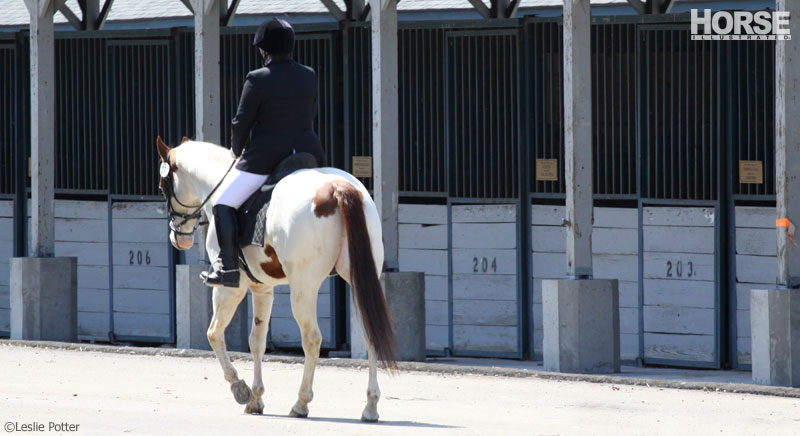 11 Tips for Showing Alone