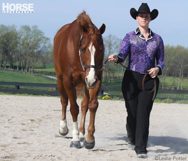 Showmanship Dos and Don'ts - Horse Illustrated