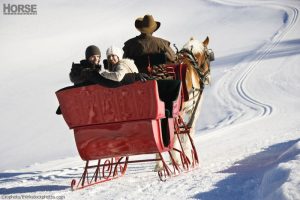 Sleigh Rides: Trotting Through a Winter Wonderland