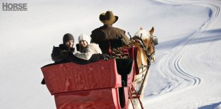 sleigh ride