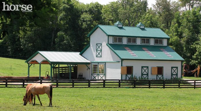Horse grazing in front of a barn