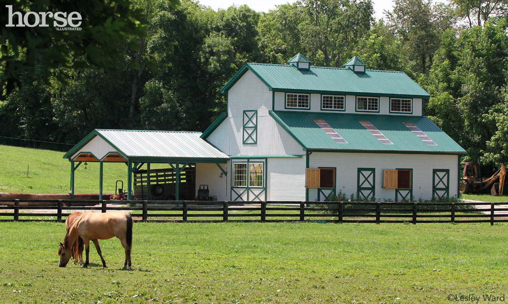 Horse grazing in front of a barn