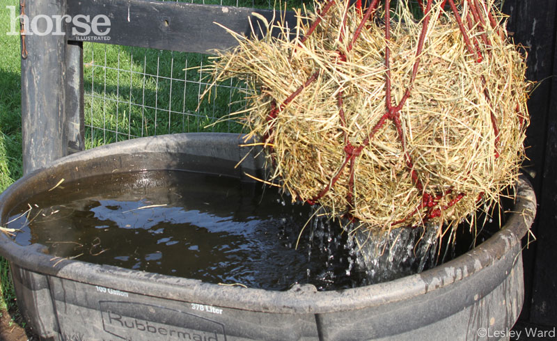Should You Soak Your Horse’s Hay?