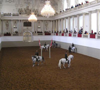 spanish riding school