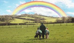 Featured Video: St. Patrick’s Day Magic