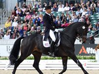 Get to know the U.S. Olympic Dressage Team steffen peters weg