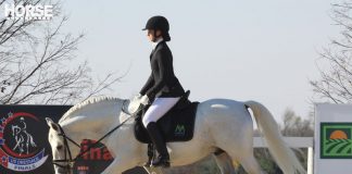 Dressage horse and rider doing a stretchy trot