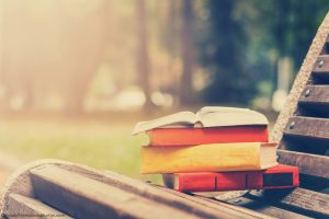 A Horse Lover’s Summer Reading List