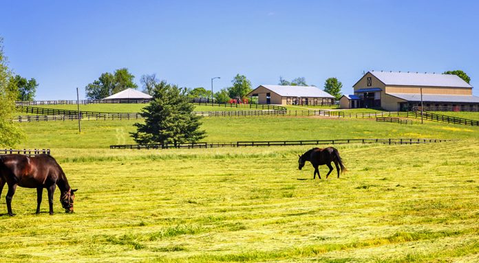 horse farm