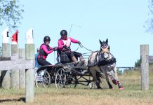 sweetwaters zorah belle