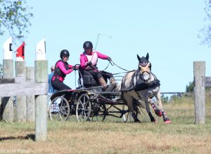 Live Oak International is Showcases the Country’s Best Carriage Driving