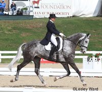 cordray dressage