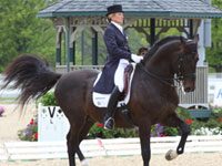 USEF announces nominated entries for dressage and show jumping t konyot calecto