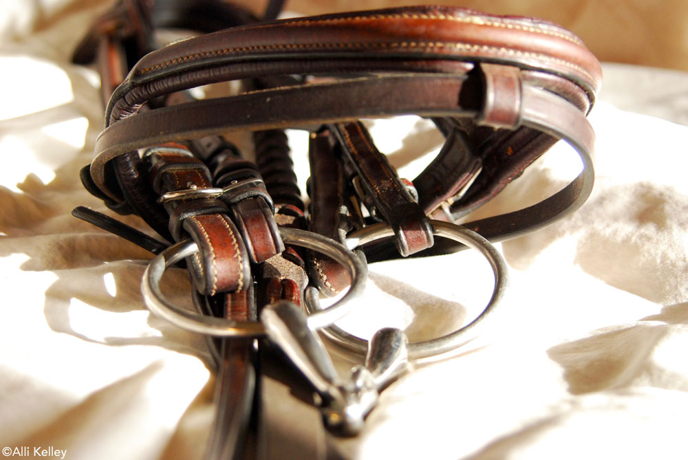 The Dirty Details on Cleaning Your Tack