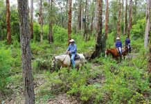the- trail australia