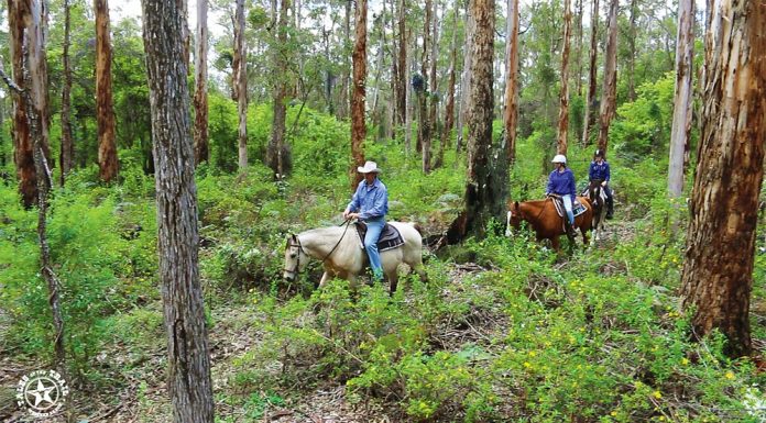 the- trail australia