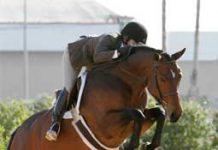 Nation???s Top Hunters in Tampa for Three Weeks tampa