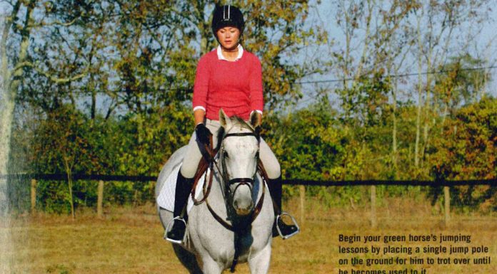 teach your horse to jump