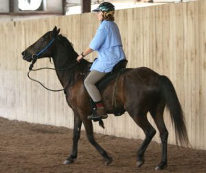 Is Your Horse’s Bad Attitude a Sign of Discomfort?