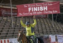 The Tortoise and the Hare tevis cup belle finish