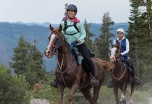 This Crazy Little Thing Called Tevis tevis cup far monk