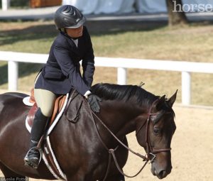 Six Types of Equine Insurance