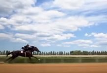 the black stallion screenshot