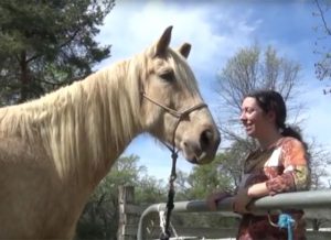 The Centauride: Raising Awareness of Domestic Violence, One Stride at a Time