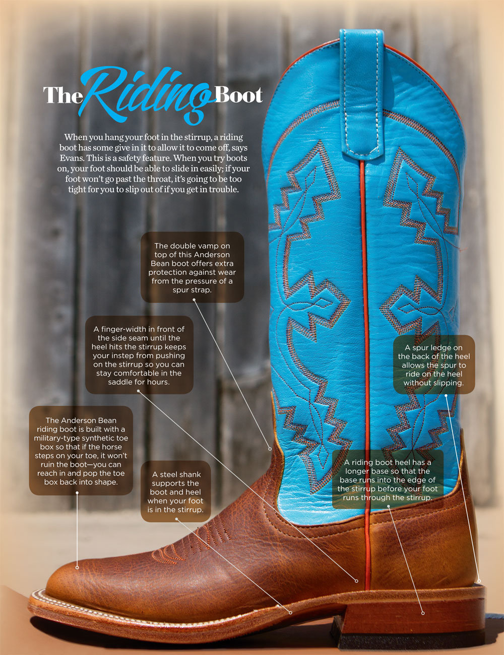 Best Western Boot – Horse Illustrated