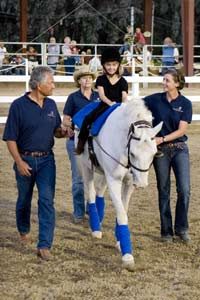 Criteria for Therapeutic Horses