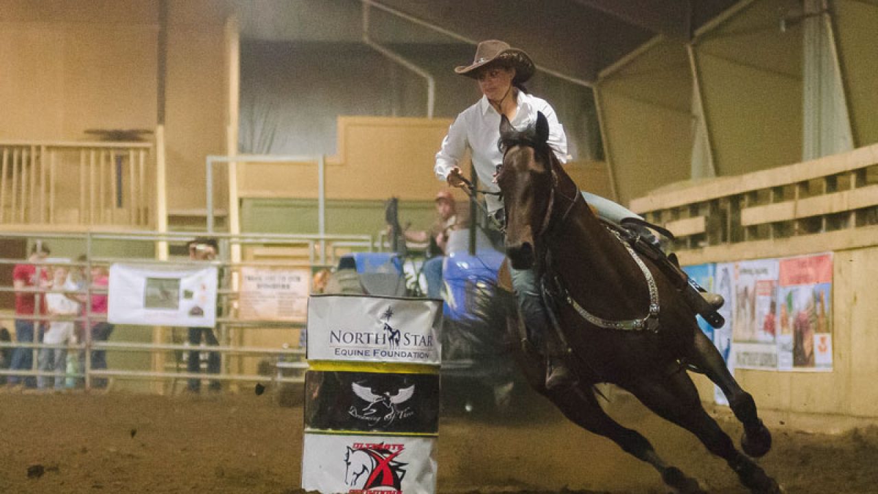 Thoroughbred Barrel Horse Horses, Riders Compete In Barrel Racing