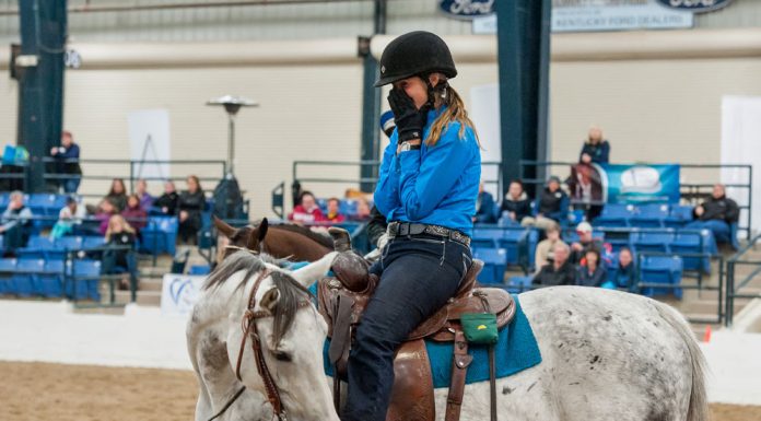 thoroughbred makeover