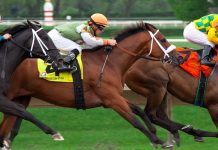 Concussion Protocol for Jockeys Aims to Reduce the Impact of Head Injuries in Horse Racing thoroughbred racing horizontal