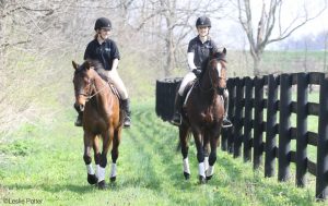 Starting Over With Off-the-Track Thoroughbreds
