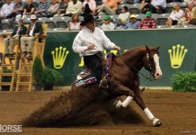 Reining Team Selection Trial for 2014 WEG Scheduled for April in Kentucky tom mccutcheon