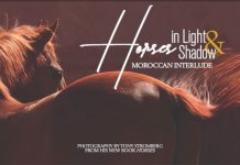 tony stromberg opener