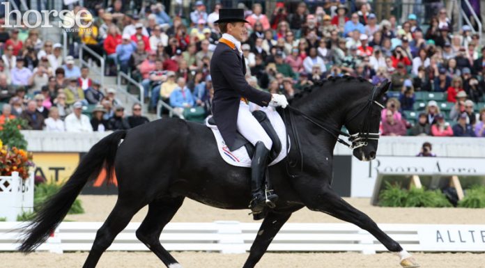 totilas gal extended trot