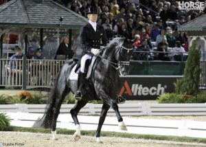 Dressage superstar Totilas will not compete in the 2014 Alltech FEI World Equestrian Games