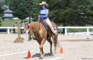 Why I Love Judging Trail Classes