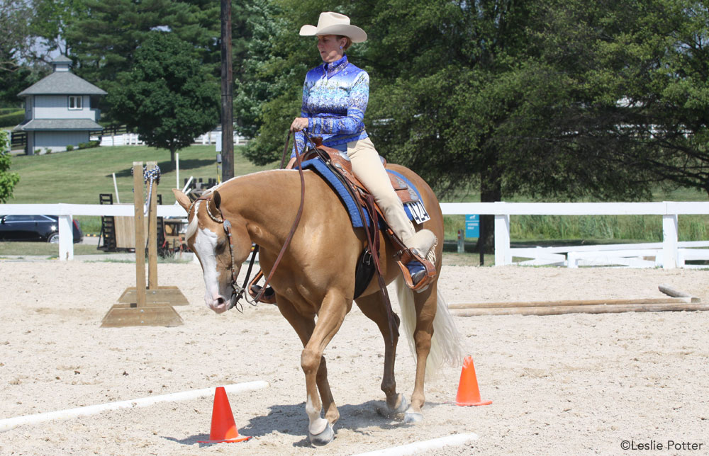 Horse and rider in a trail class