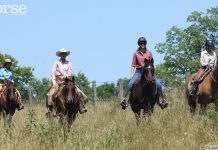 How Barn Families Benefit You and Your Horse trail group western