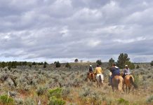 Group trail riding in Oregon