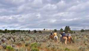 Question of the Week: Brake Failure